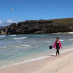 Long Weekends and Leave Plan